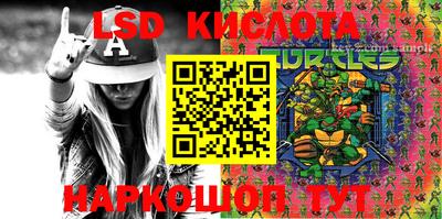 крисы Анапа