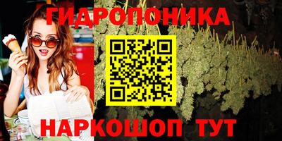 гидропоника Анжеро-Судженск