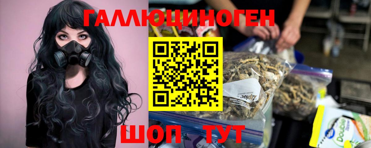 Псилоцибиновые грибы прущие грибы  Вход с VPN  Заволжье 